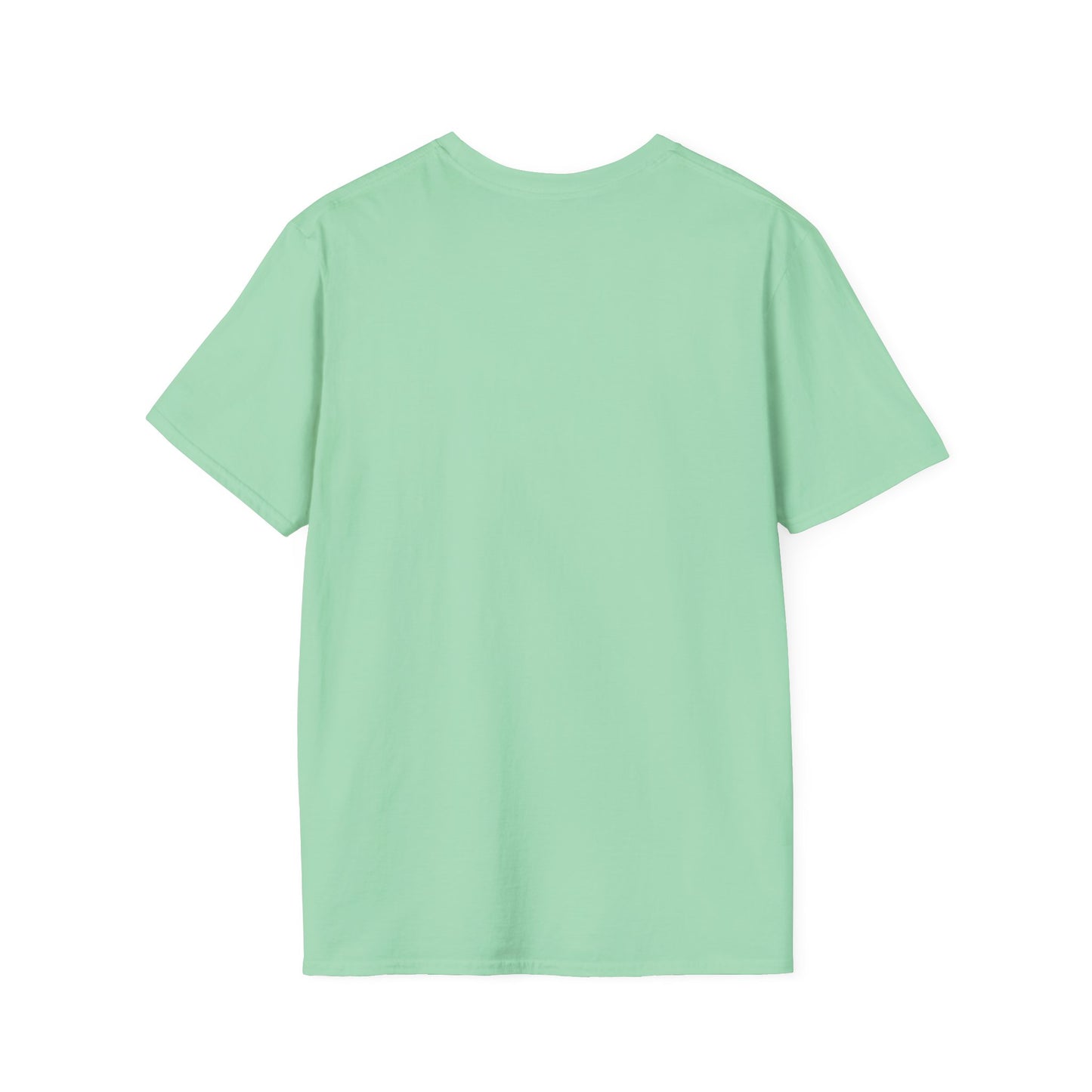 Don't Make Me Use My Teacher Voice T- Shirt