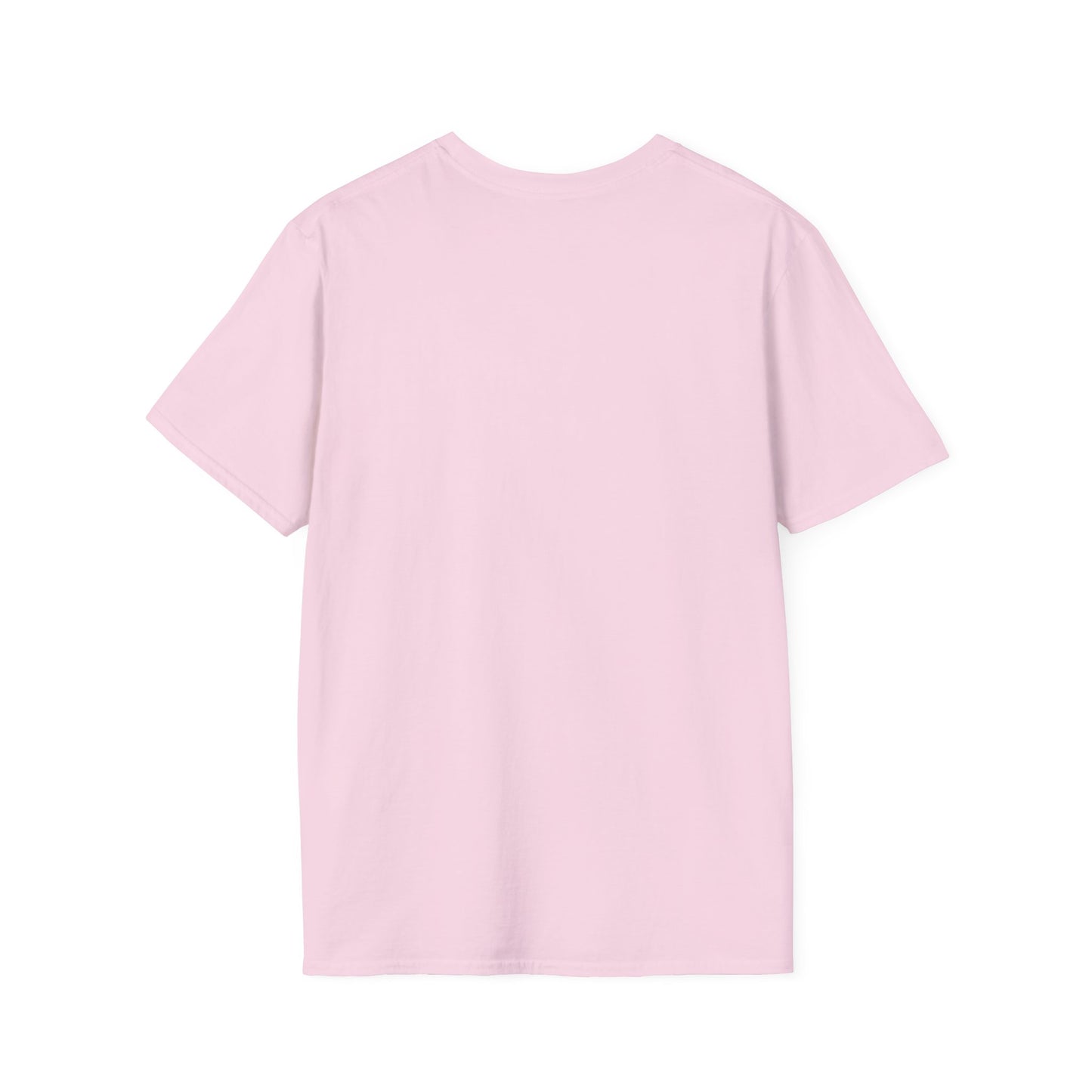 Don't Make Me Use My Teacher Voice T- Shirt