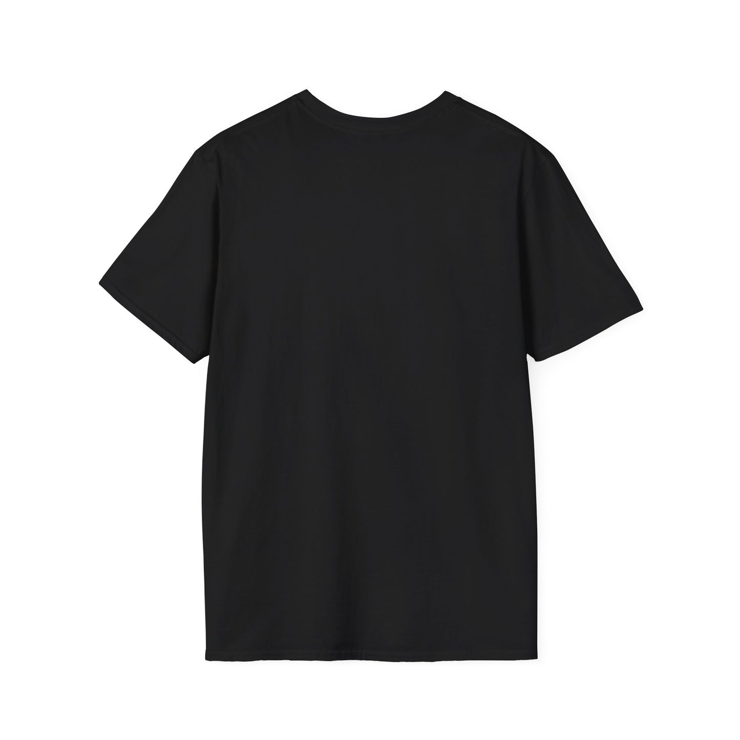 Don't Make Me Use My Teacher Voice T- Shirt