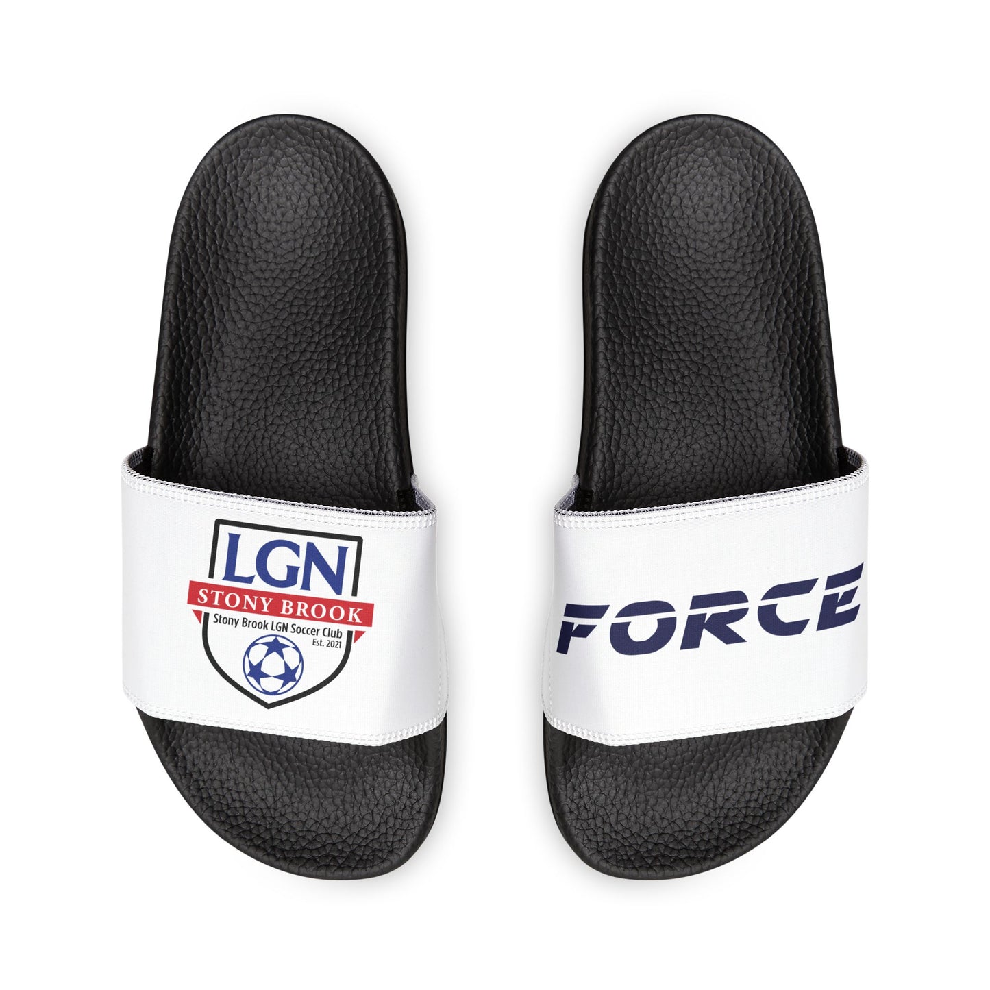 LGN Force - Slides