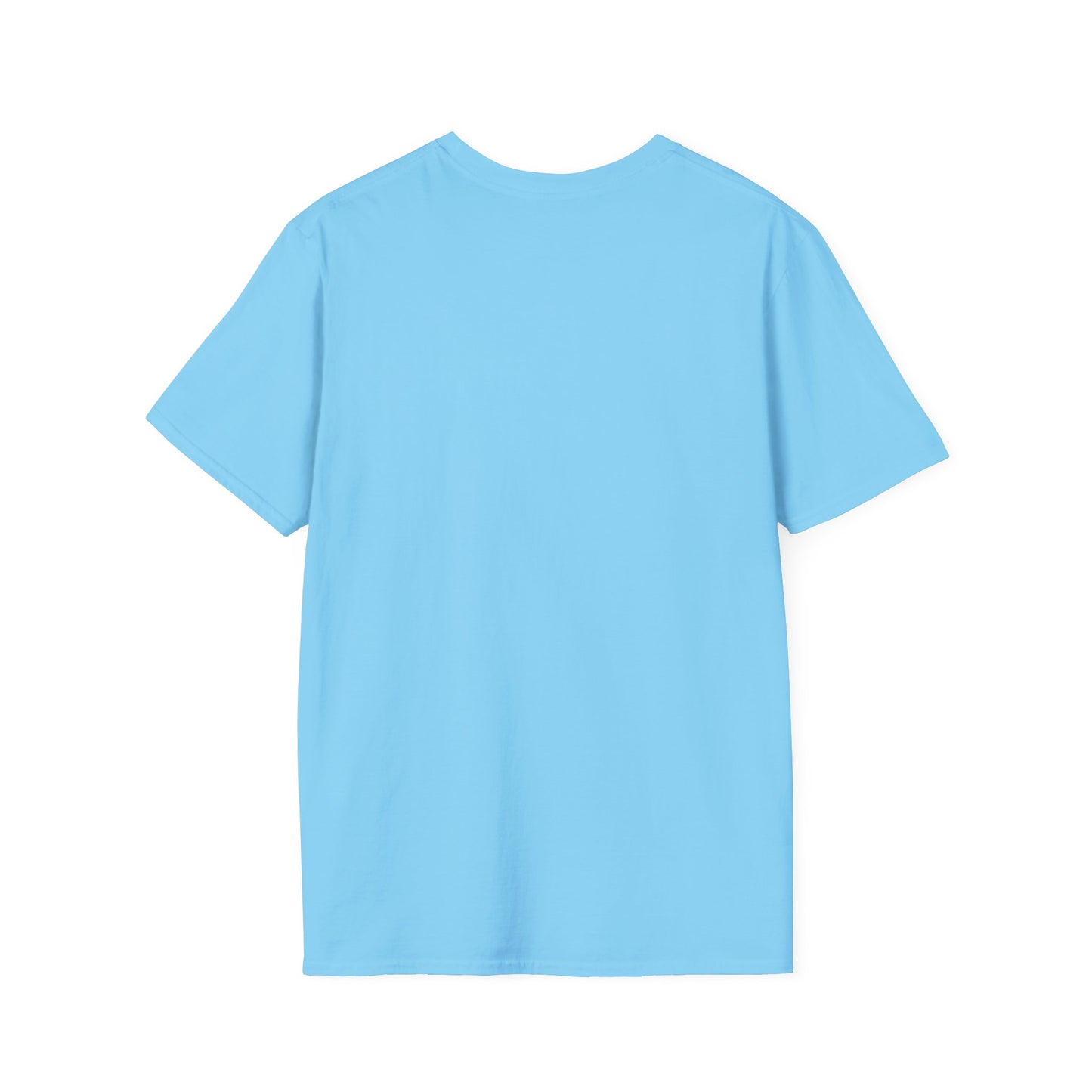 Don't Make Me Use My Teacher Voice T- Shirt