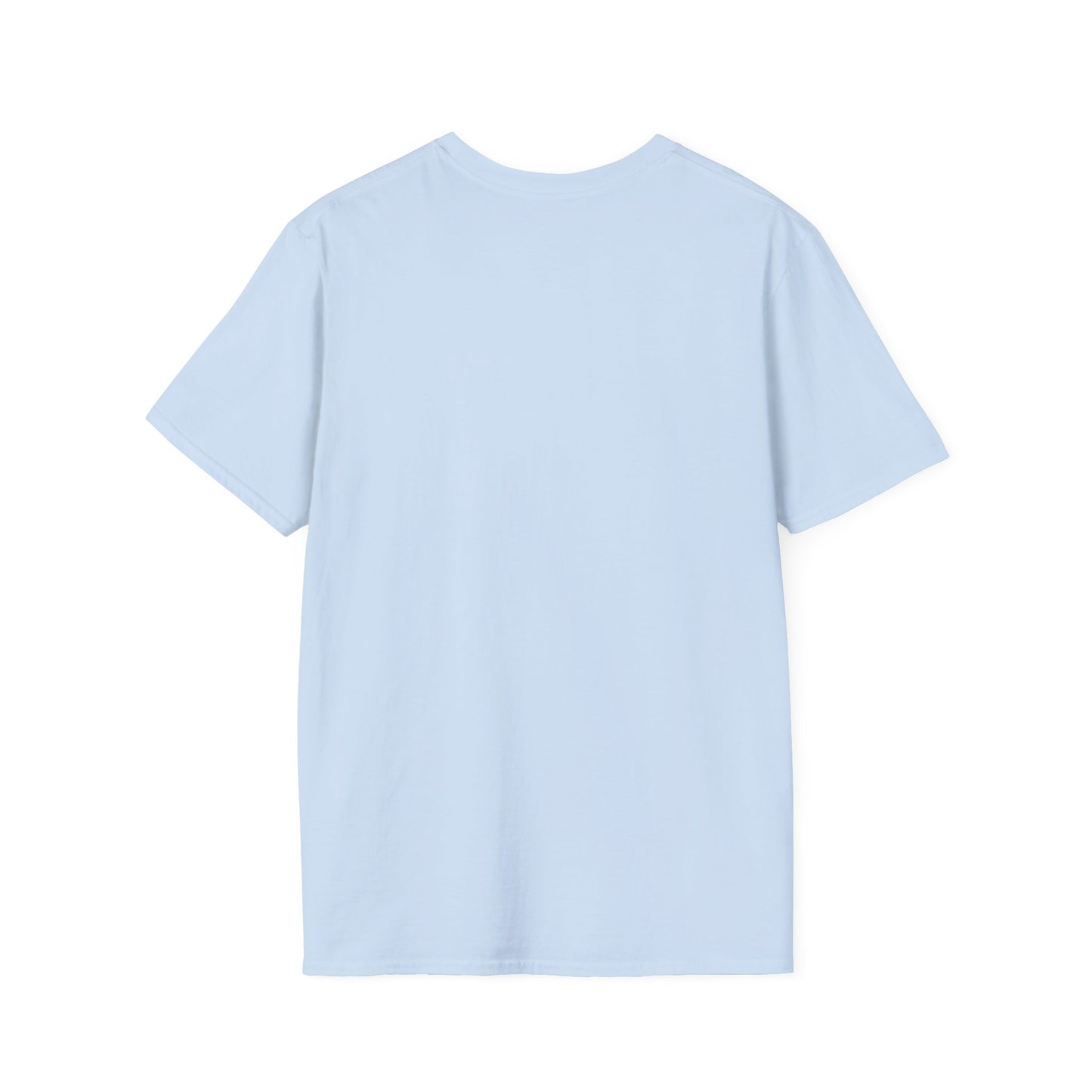 Don't Make Me Use My Teacher Voice T- Shirt