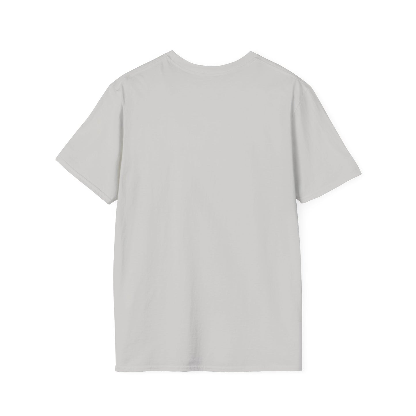 Don't Make Me Use My Teacher Voice T- Shirt